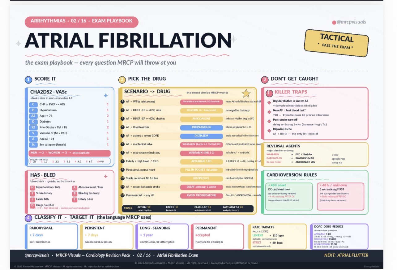 Exam-Focused Textbook